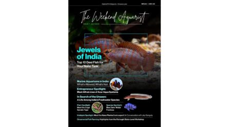 The Weekend Aquarist Releases Its 7th Issue — Available on Magzter and in Print Across India